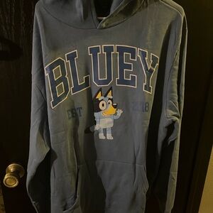 Bluey Graphic Hoodie - Blue new without 🏷️